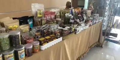 Pemberdayaan UKM di Wilayah, Bacaleg Tangsel Ingatkan Dana Kelurahan